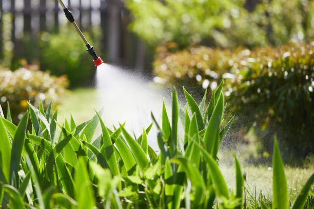 24/7 Emergency Termite Control experts in Nellis AFB, NV