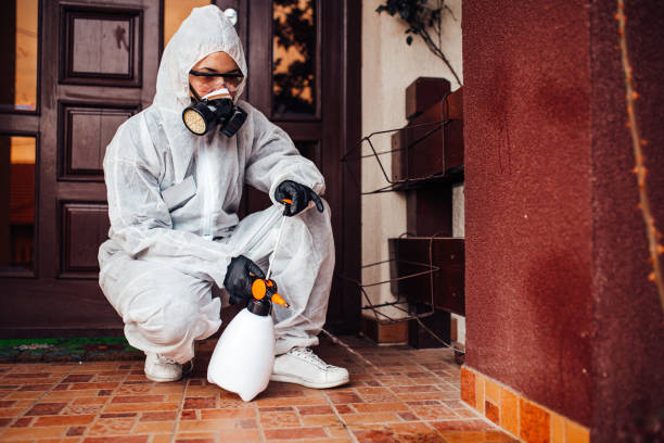 Reliable Termite Control contractor in Nellis AFB, NV by Nex Pest Control