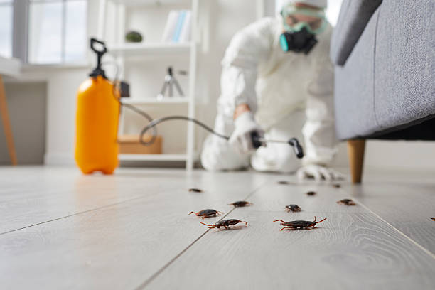 Trusted Cockroach Control service in Nellis AFB, NV - Nex Pest Control
