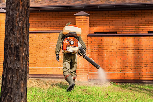 Trusted Rodent Control service in Nellis AFB, NV - Nex Pest Control